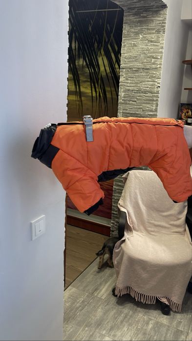 Комбінезон теплий для песика