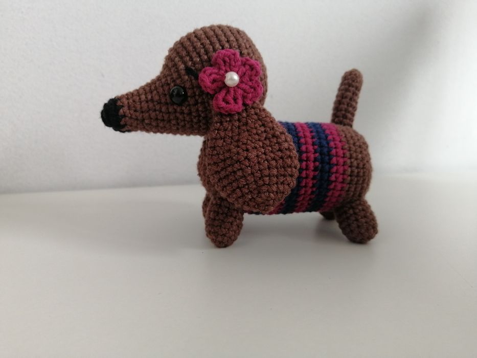 Jamniczek w sweterku