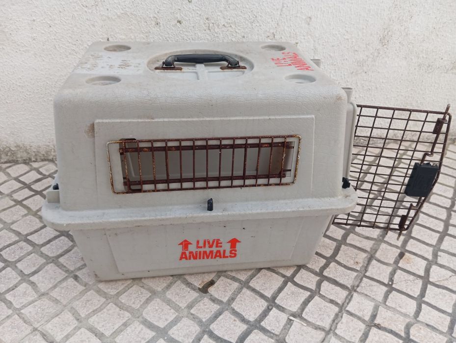 Transportadora de animais