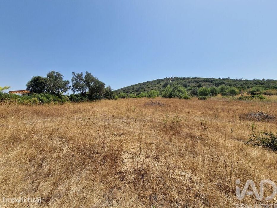 Terreno Agrícola em Santa Bárbara de Nexe