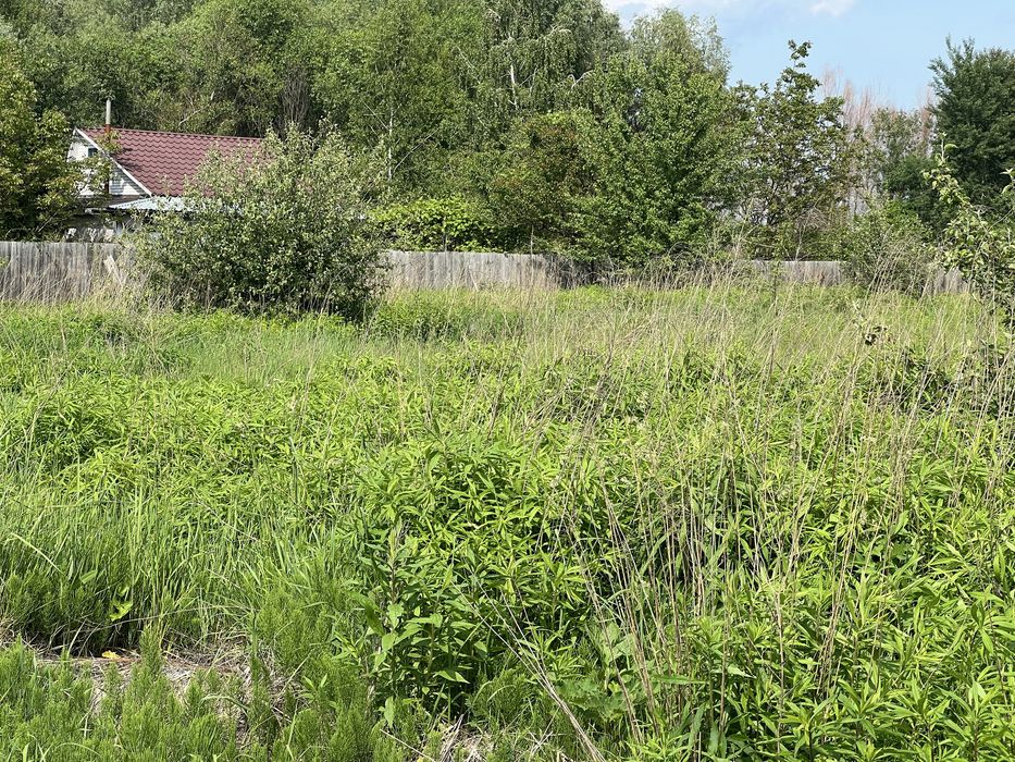 Пр зем 8с Пуховка свет соседи природа