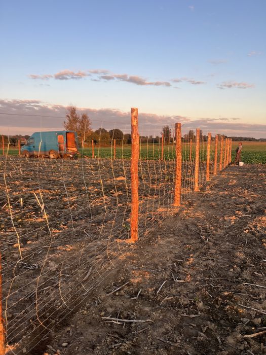 Ogrodzenia panelowe150 i 170cm tymczasowe siatka leśna lub deski