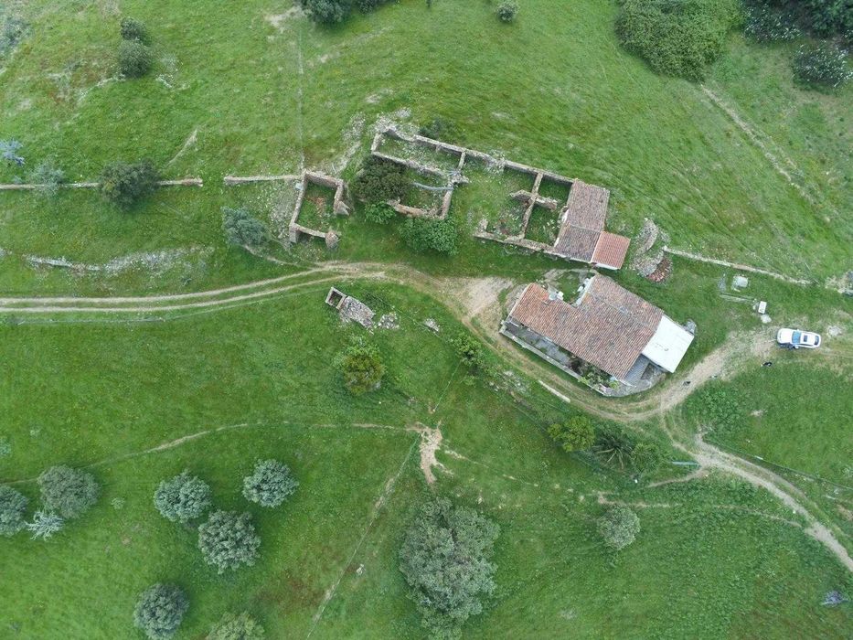 Monte Alentejano em Santana da Serra casa térrea com 78m2 prédio urbano e rústico de 8 hectares