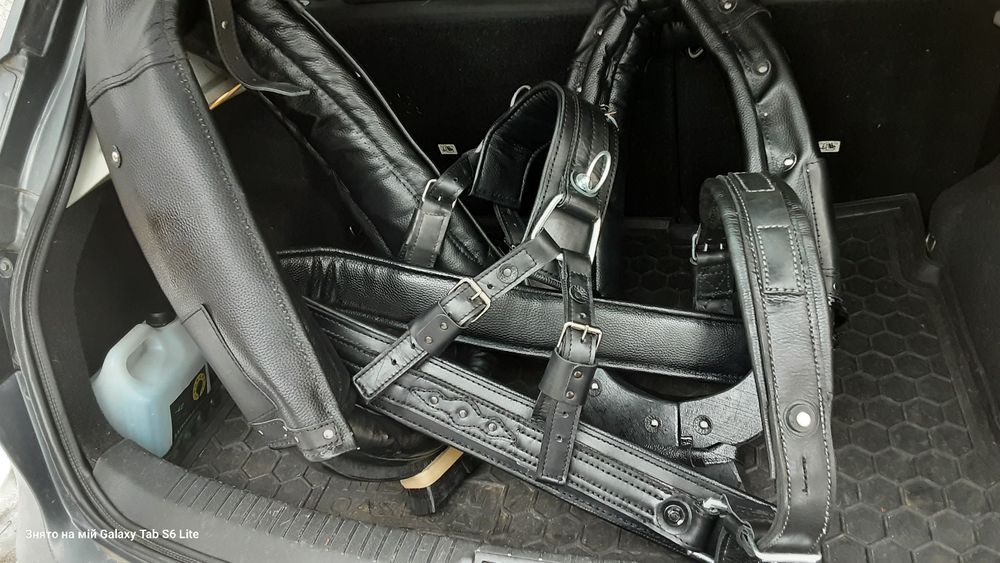 Шлея на коня з пожарного шланга