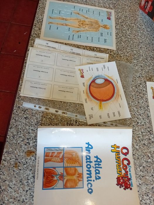 Colecção Era Uma Vez O Corpo Humano