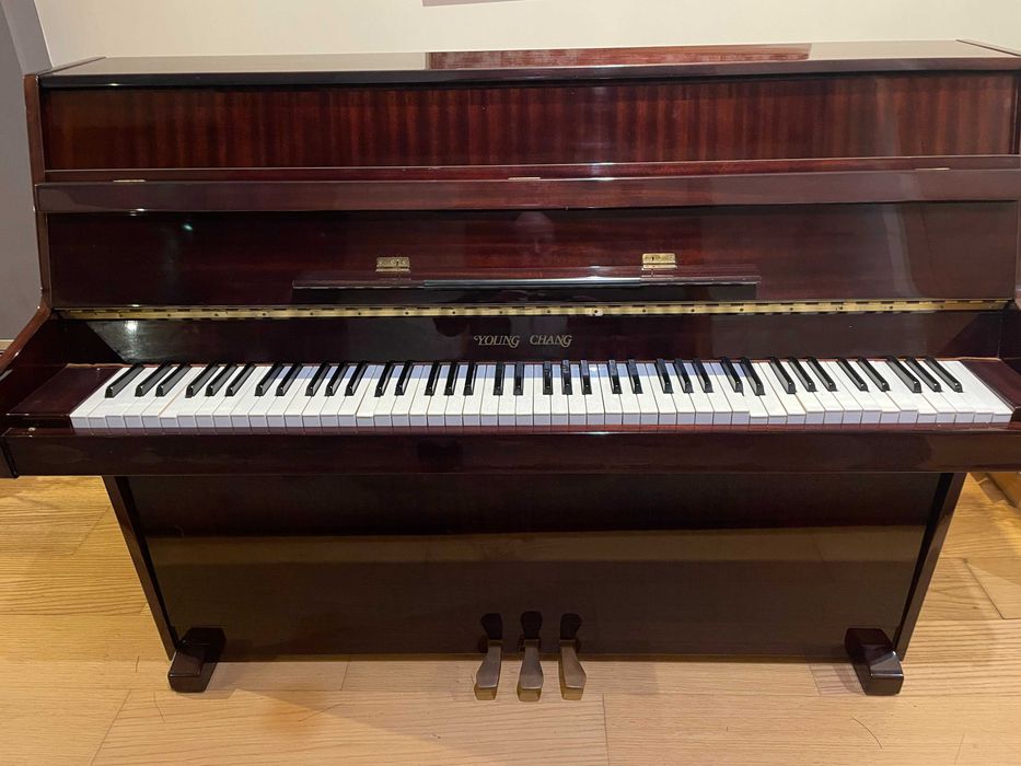 young chang piano - Instrumentos musicais | OLX Portugal