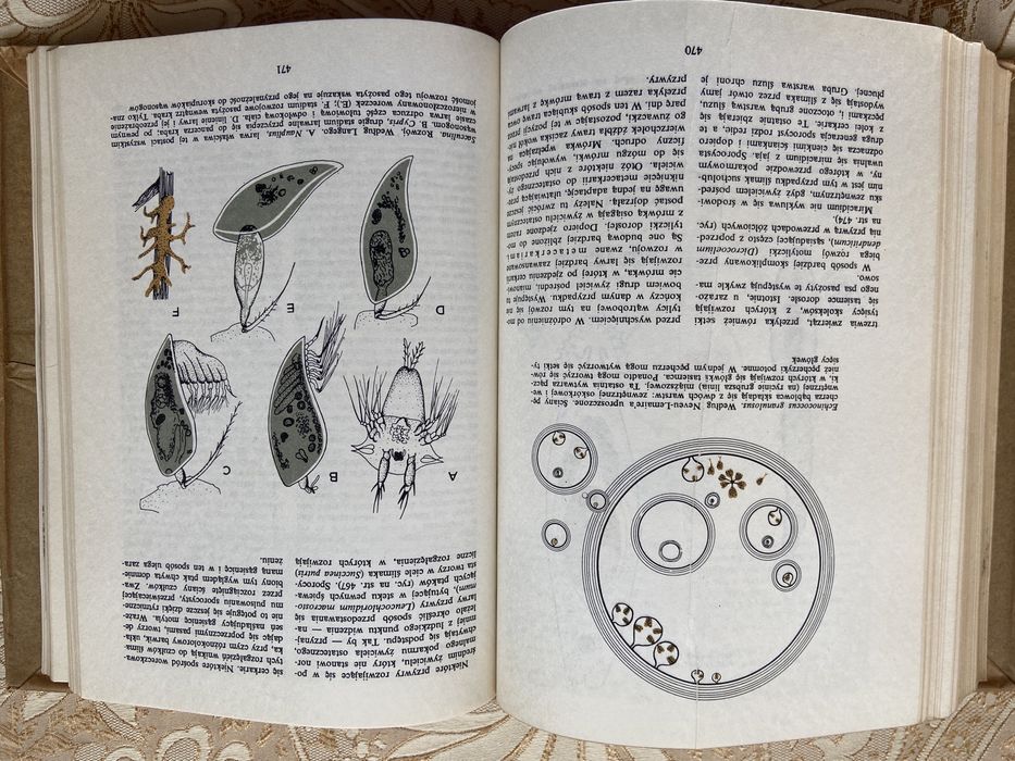 Książka Biologia XX wieku