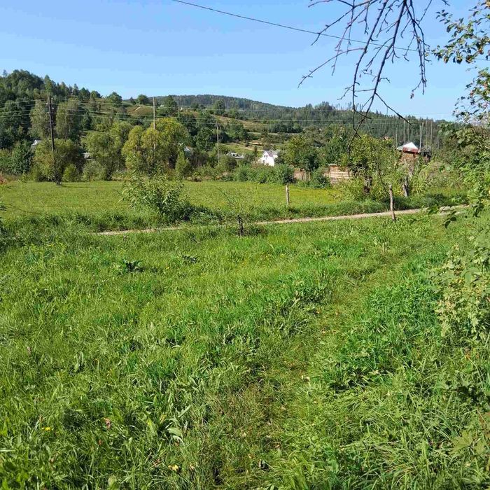 продаж земельної ділянки Яремче/ осг з можливістю переведення