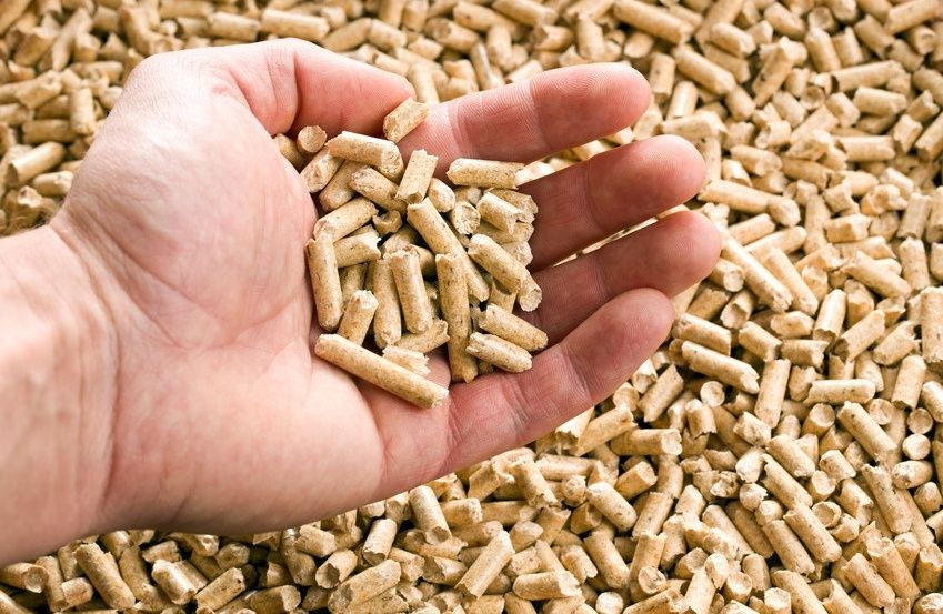 Pellet Sosnowy A1 6mm wg normy ENplus iglasty pelet drzewny