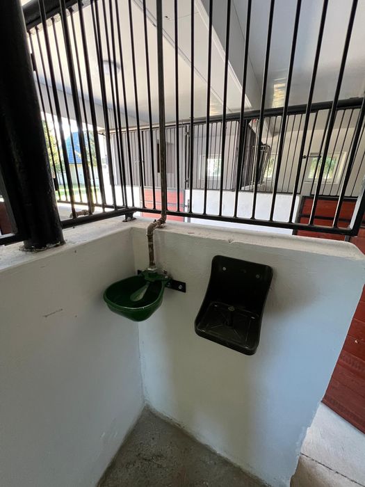 Do wynajęcia stajnia 6 boksów 3.5 ha wybieg