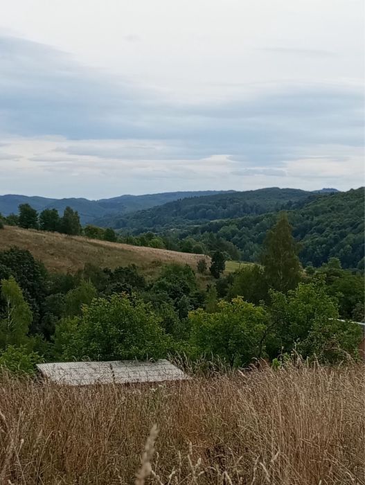 Земельна ділянка в Карпатах з будинком. Село Орів, Трускавецька ОТГ. Ціна 485$ за сотку.
