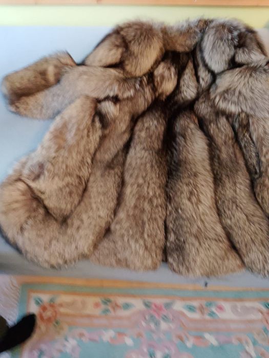 Futro ze srebnych lisów