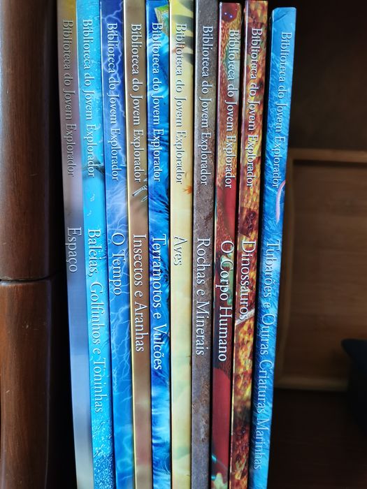 Coleção 10 livros
