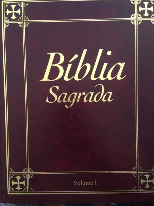 Bíblia Sagrada - XV Volumes