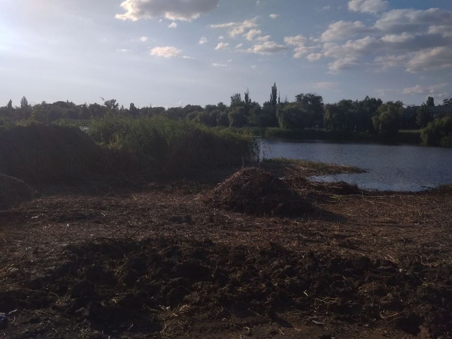 Вывоз мусора, расчистка участка, погрузка, уборка помещений и т. д