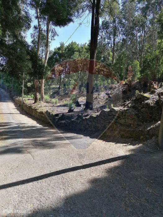 Terreno  para venda