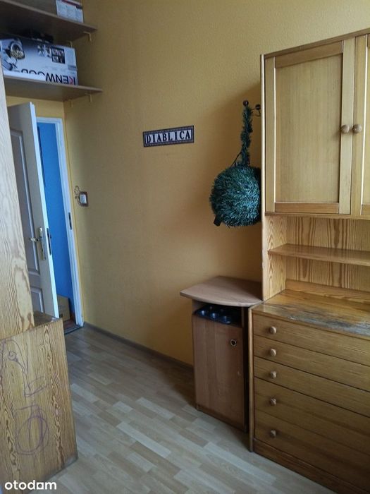 Duże mieszkanie w Bytomiu z balkonem dł. 12m - widok na park miejski