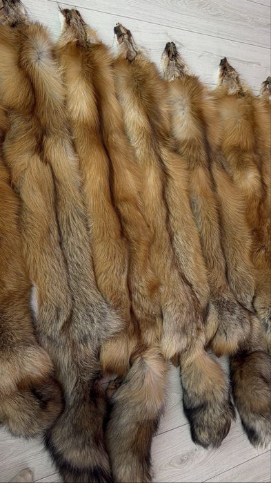 Шкурки (мех) норки, чорнобурки, песця, єнота, лисиці, блюфроста