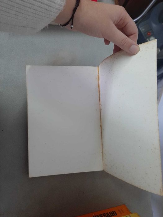 A Haganah: O exército Secreto de Israel de Thierry Nolin