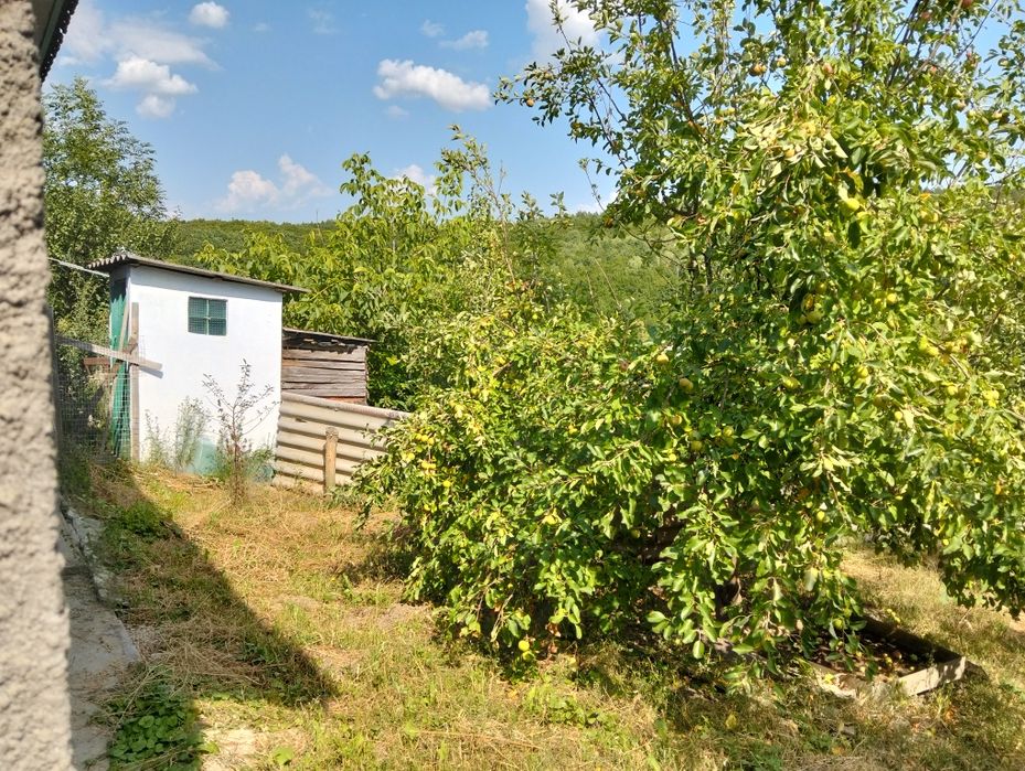 Продається будинок с. Слобідка-Балинська