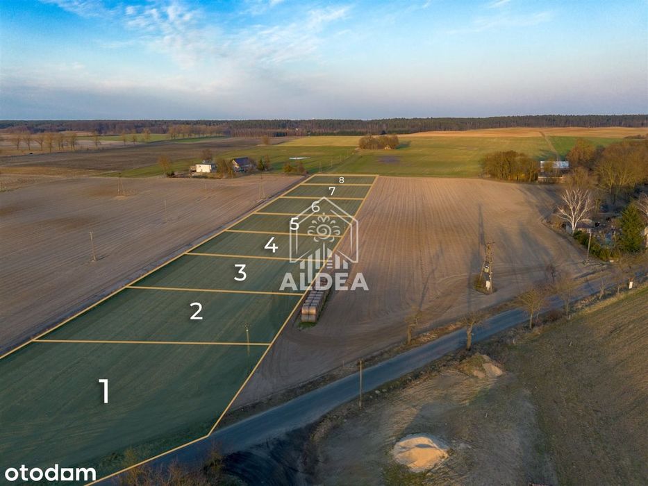 Działki budowlane 500 m od Jeziora Gąsawskiego