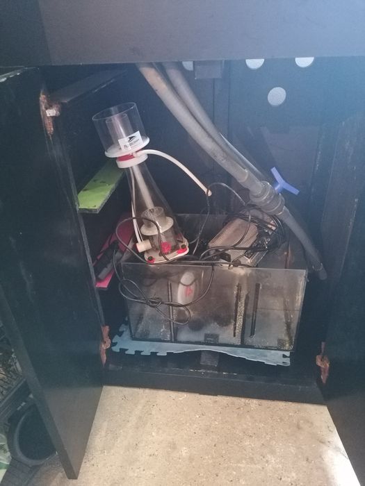 Aquário de água salgada