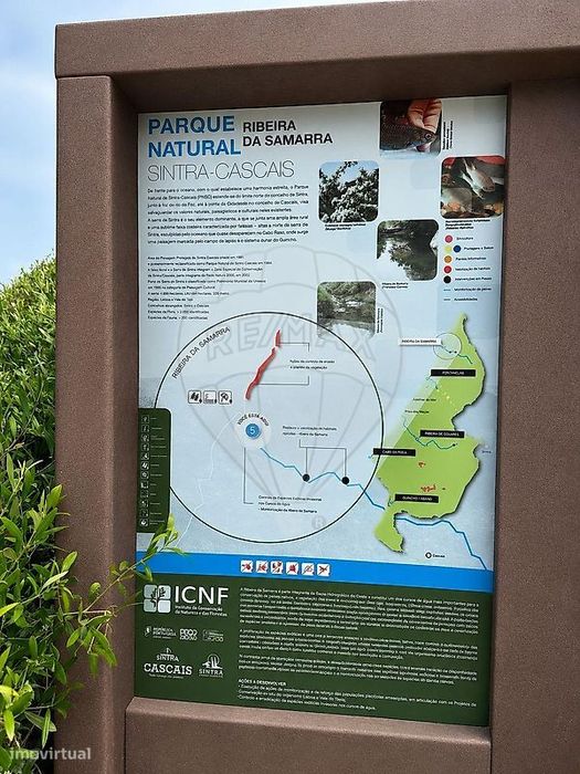Terreno  para venda