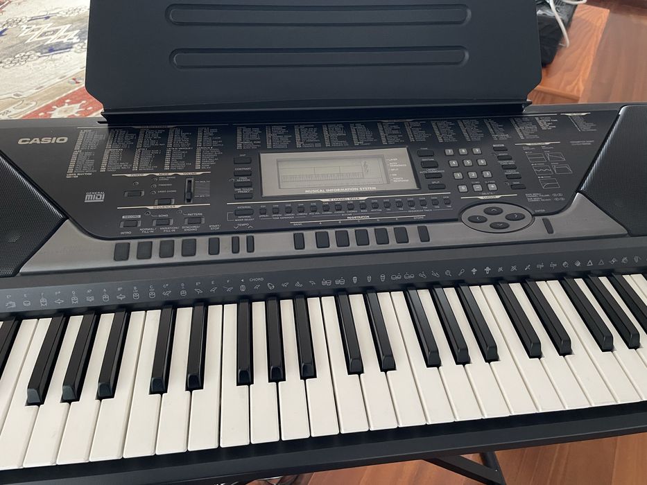 Orgão CASIO CTK-811 EX
