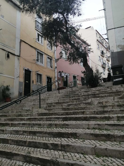 T1 – ALFAMA – 900€
