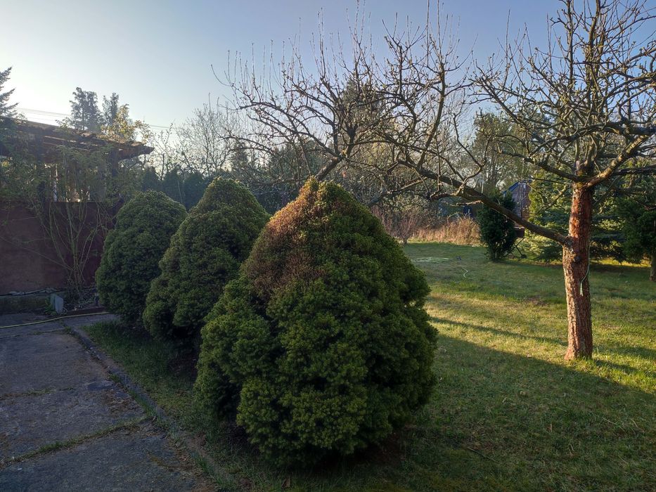 Działka ROD Konstantynów Łódzki