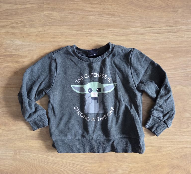 Paka ubrań w rozmiarze 92
Bluza i sweter z dinozaurami Next.
Dres z P