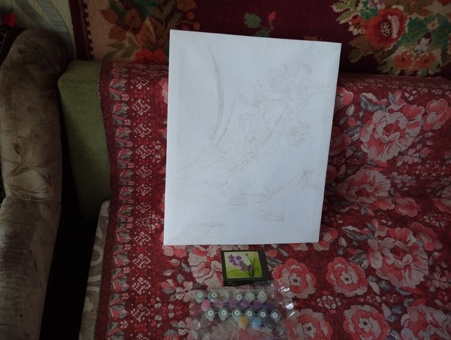 Картина по номерам 50*40 см Ирисы