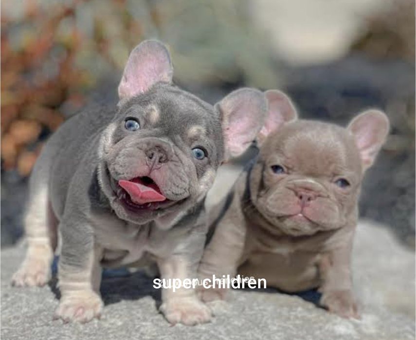 Шикарні малюки;•}