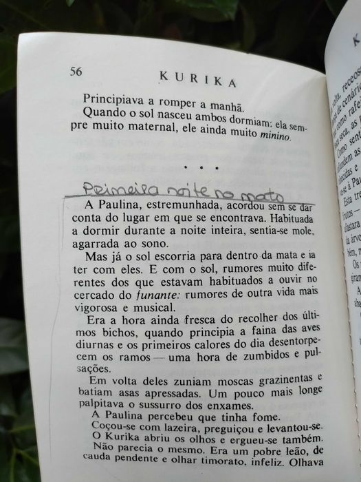 Kurika (Henrique Galvão)