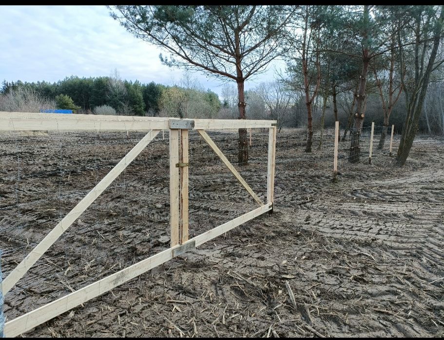 Ogrodzenie leśne tymczasowe budowlane