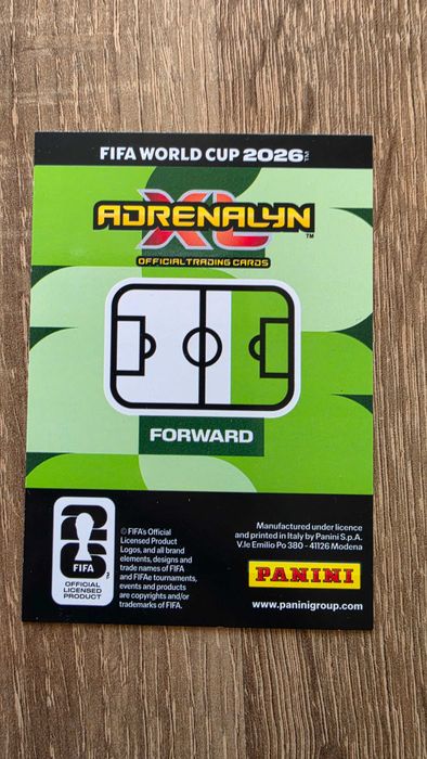 Karta Ronaldo Panini adrenalyn 372