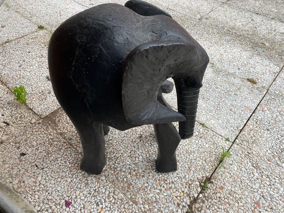Elefante Africano antigo