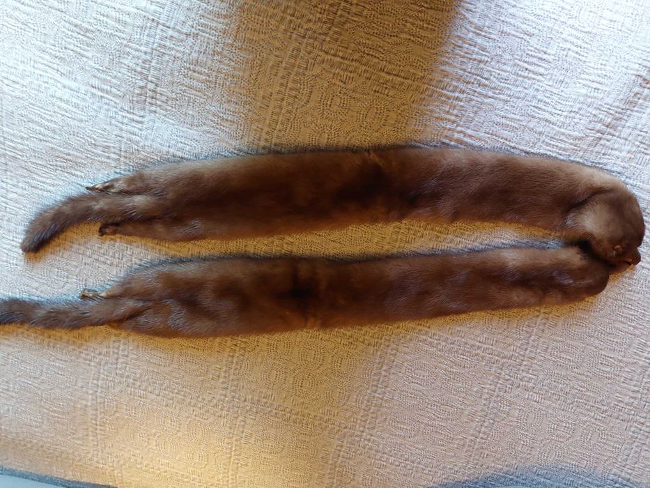 Estola de raposa muito bela