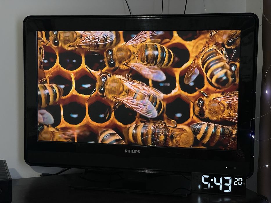 Телевізор philips