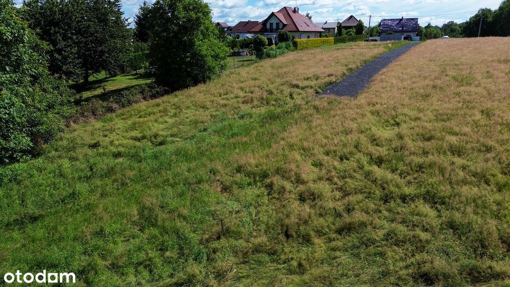 Działka w Wilchwach przy lesie 1452 m² - Widok 5
