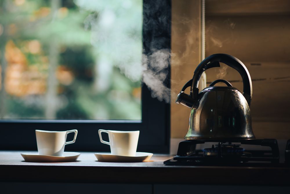 Відпочинок в Мигово | Forest Side