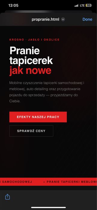 Profesjonalne strony internetowe