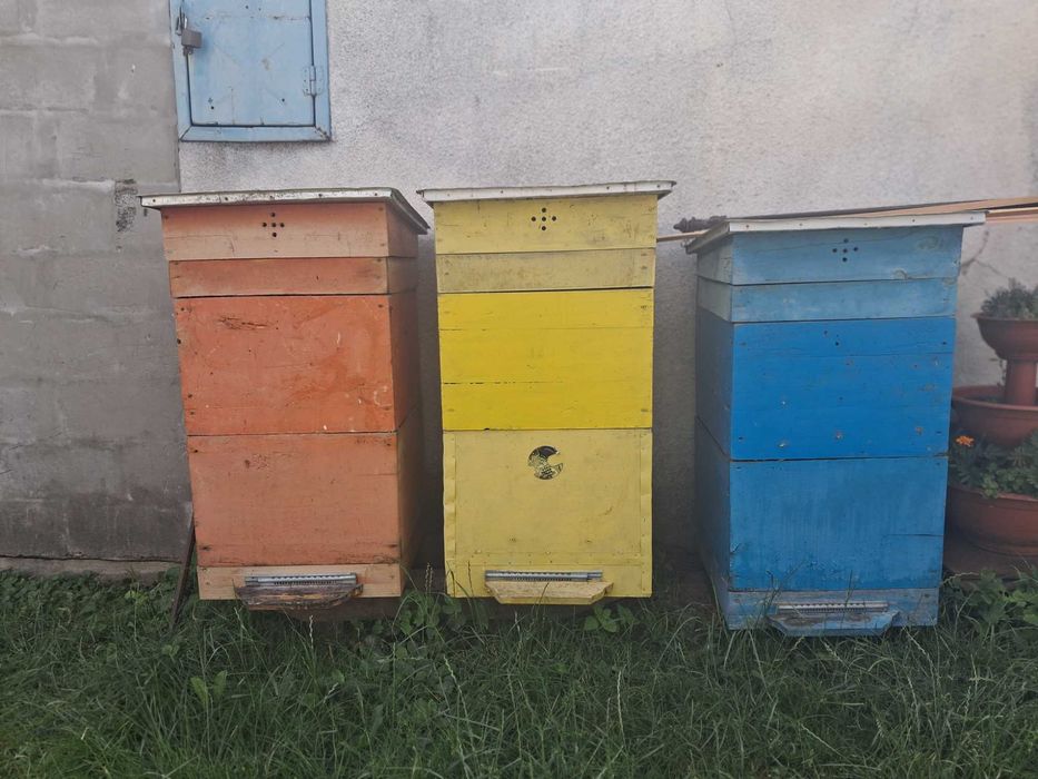 Вулики для бджіл