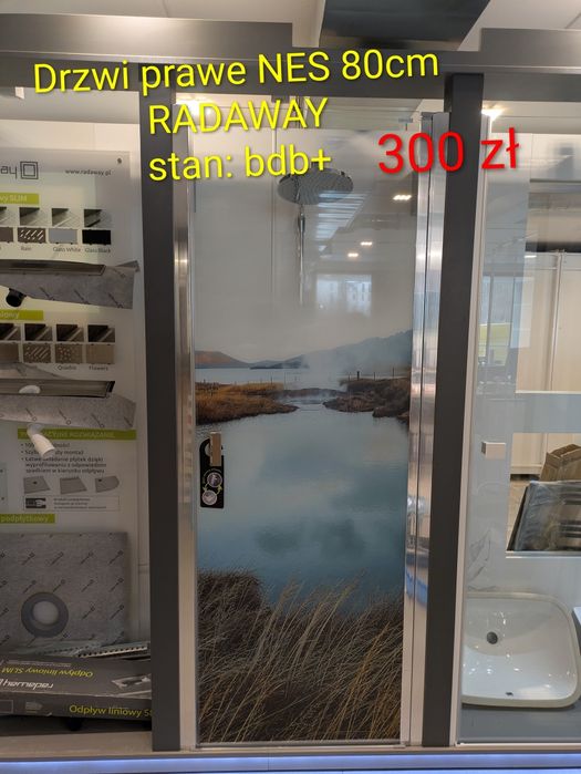 Kabina drzwi Radaway Ronal