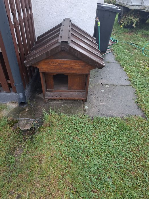 Buda dla średniego psa