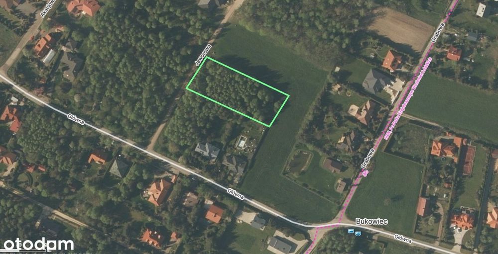 Bukowiec / Grabina / Nowosolna – działka 3004 m² w PKWŁ - Widok 2