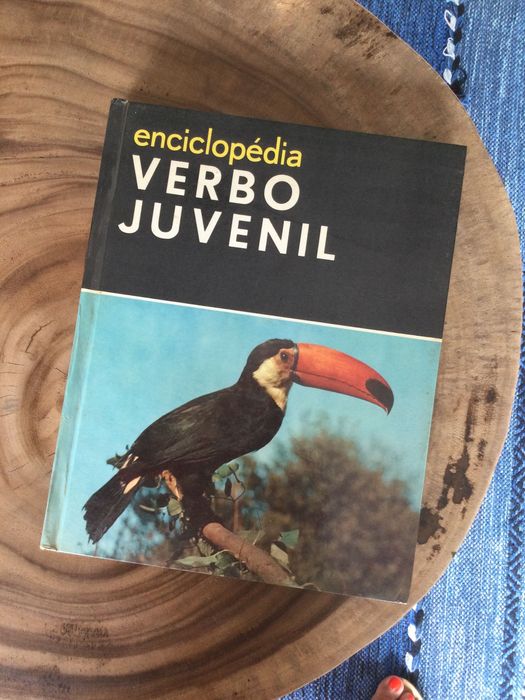 Colecção livros Verbo Juvenil
