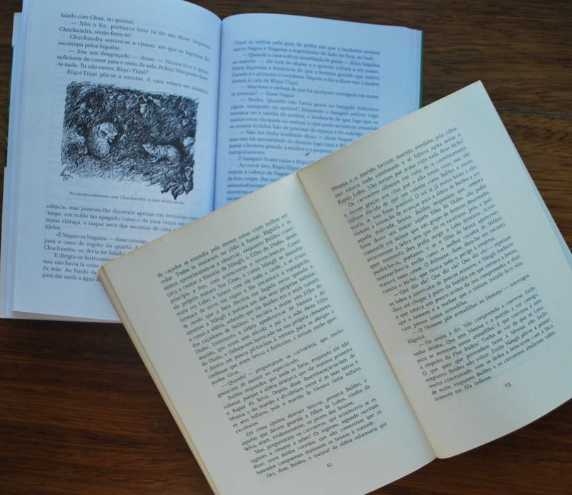 O Livro da Selva e Segundo Livro da Selva de Rudyard Kipling