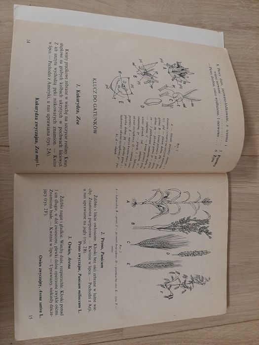 Poznaj 100 roślin - Janina Szaferowa