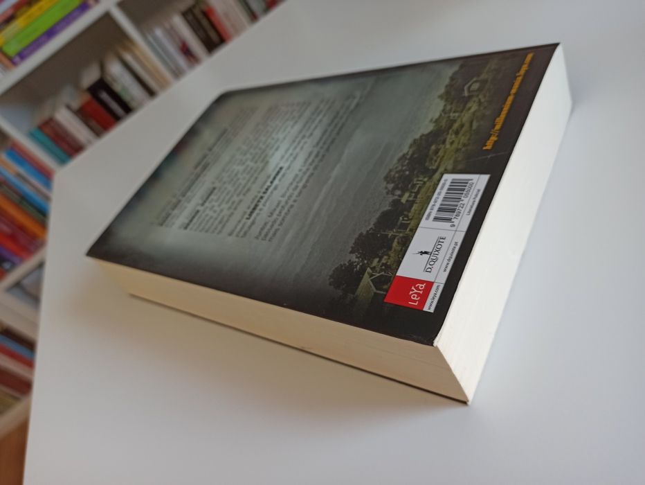 Os homens que odeiam as mulheres - Stieg Larsson - Millennium